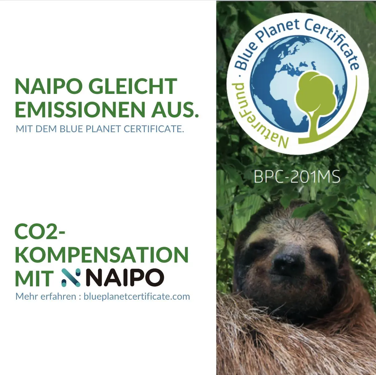 NAIPO Massagegerät Infrarot Wärmefunktion, 4 Aufsätze, verschiedene Intensitäten - Image 10